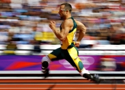 PG世界杯2026-赛道上的双重奏，威廉姆斯完胜索伯，汉密尔顿状态火热