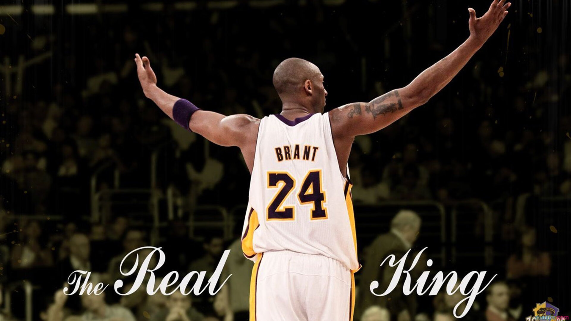 当风笛遇见K-POP，卢卡库式节奏如何主宰苏格兰与韩国的战术棋盘